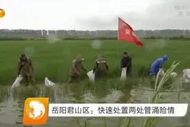 关注！洞庭湖水位复涨，初步预计将有0.6至0.9米左右涨幅视频封面