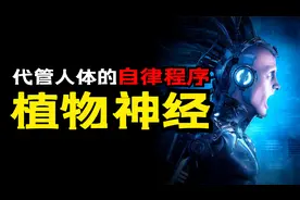 不受意识控制，掌管你身体所有状态的自律程序——植物神经！