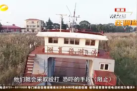 夏某安承包芦苇地搞非法养殖，下塞湖成“夏设湖”，谋取不法利益视频封面