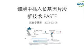 【陈巍学基因】细胞中插入长基因片段新技术--PASTE视频封面