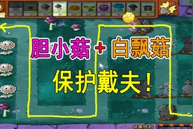 植物大战僵尸：【塔防版】黑夜关卡，坟墓危机视频封面