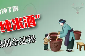 纯米酒是怎么酿制的呢？经过制曲和发酵，这样酿制的米酒清醇可口视频封面