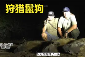猎人狩猎鬣狗全过程，感谢观看视频封面