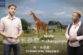 【动物小百科】长颈鹿，600年前漂洋过海来到中国的“祥兽”视频封面