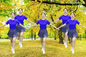 DJ怀旧歌谣《鲁冰花》天上的星星不说话，地上的娃娃想妈妈