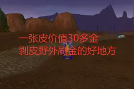魔兽世界tbc：一张皮价值30多金，剥皮野外刷金的好地方