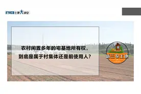 农村闲置多年的宅基地所有权，到底是属于村集体还是前使用人？视频封面