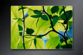 穿越时间·系统安装之番茄花园Longhorn Windows XP