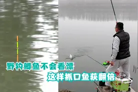 野钓鲫鱼不会看漂抓口，不同鱼情看漂有讲究，这样抓口鱼获翻倍视频封面