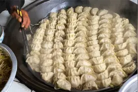 第一次去东北农村生活！一锅100个饺子也太爽了！视频封面