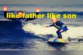 like father like sun 不是“像父亲又像儿子”，这样翻译最准确