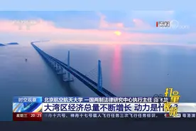 四年间粤港澳大湾区经济总量不断增长的动力是什么？视频封面