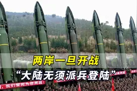 海基会董事警告：两岸一旦开战，大陆都无须派一兵一卒登陆台湾了视频封面