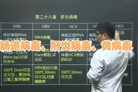 【公开课】_医学微生物学二十七课 肠道病毒、肝炎病毒、黄病毒视频封面