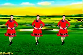 广场舞《我从草原来》老歌新跳，弹跳民族风混搭舞蹈简单时尚好看视频封面