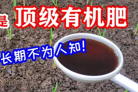 拼命施肥，蔬果花卉还是長不好？就來试试鮮為人知的腐殖酸吧视频封面