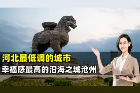 河北的低调城市，幸福感超高的北方沿海之城，凭什么是沧州？视频封面