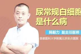 尿常规白细胞高是什么病？视频封面