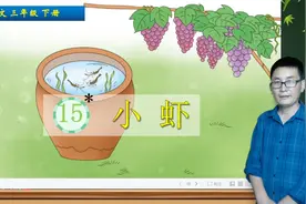 三年级下册语文《15.小虾》，自主学习课文，提高自主学习能力视频封面