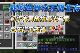 MC大型穿越冒险【无限】整合包实况09 发展植物魔法&合成矿工戒指视频封面