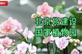 北京将建设国家植物园 专家：植物“迁地保护”是难点视频封面