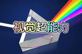 你所看到的世界或许不一定是真实的，有些人居然能看到上亿种颜色