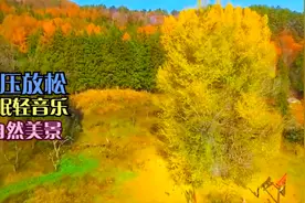 【放松舒缓】追踪着鹿的猎人是看不见山的。视频封面