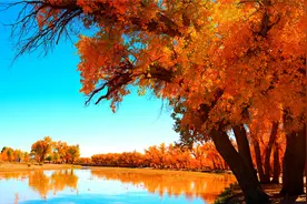 早晨歌曲20首必听，明月秋风洞庭水，孤鸿落叶一扁舟