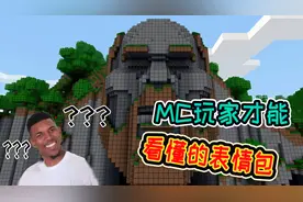 我的世界：MC专属表情包，不是老玩家看不懂！你看过几个？