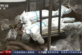 铲子换成刷子 “满地找牙小分队”成果如何？三星堆象牙出坑现场视频封面