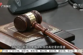 今起施行 四类人员禁止做教职员工视频封面