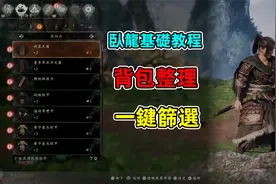 【卧龙】背包整理基础教程，仓库分解一键筛选省时省力视频封面