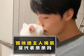 猫咪舔主人嘴唇是代表亲亲吗？养猫必看视频封面