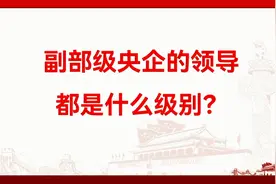 副部级央企的领导都是什么级别？视频封面