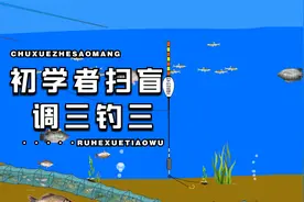 新手钓鱼调漂教学调三钓三适合钓鲫鱼，鲤鱼等视频封面