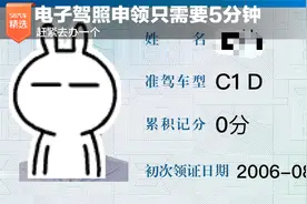 电子驾照申领只需要5分钟 赶紧去办一个