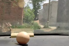 今天做个“汽车蒸蛋”实验，鸡蛋放车里两个小时，能熟吗？视频封面