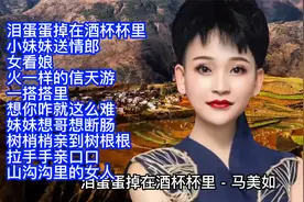 马美如陕北情歌精选10首联唱