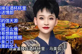 马美如陕北情歌精选10首联唱