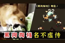 这只修狗有点东西！试玩《大江湖之苍龙与白鸟》黑狗掏裆名不虚传视频封面