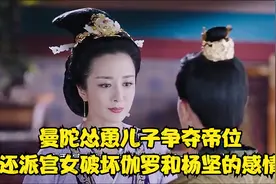 苍蝇不叮无缝的蛋，说到底杨坚还是忘不了曼陀视频封面
