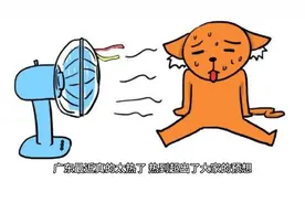 高温下广东人的生活现状 热到煎蛋：外面温度50℃真热爆视频封面