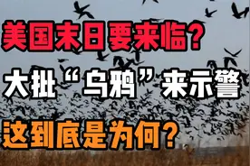 美上空涌入数万只“乌鸦”，在停车场扎堆聚集，难道是灾难前兆？视频封面