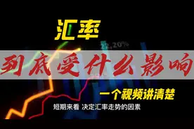 汇率到底由哪些因素影响？(1)视频封面
