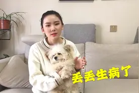 小狗不知道咋了，俩腿拖着屁股来回蹭地，哼哼唧唧的让人很心疼