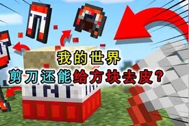 我的世界：剪刀还能够剪方块？剥开TNT会掉盔甲，原地自爆不掉血