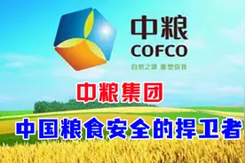 中粮集团，资产从676亿增长到4590亿，成全球第五大国际化大粮商视频封面