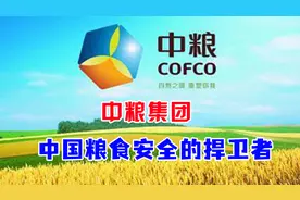 中粮集团，资产从676亿增长到4590亿，成全球第五大国际化大粮商视频封面