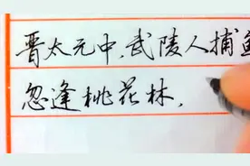 每日的练字时光就是我们的桃花源。硬笔行书《桃花源记》视频封面
