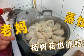 老妈给做蒸饺，杨树花做馅料，一年只吃一次